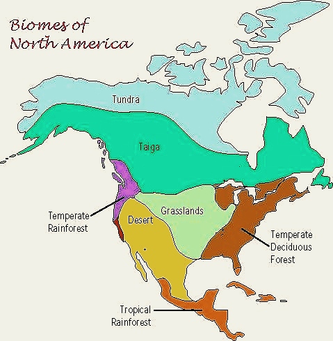 Geography homework question answer, step 1, image 1