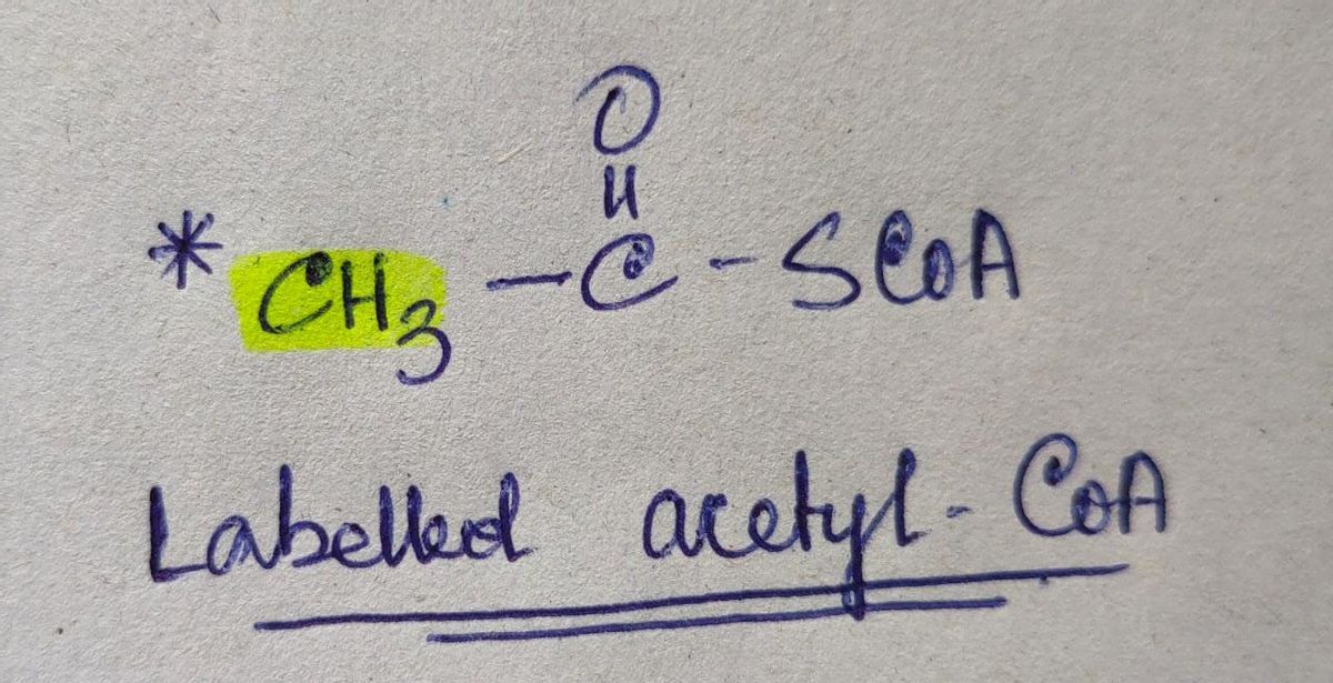 Biochemistry homework question answer, step 1, image 1