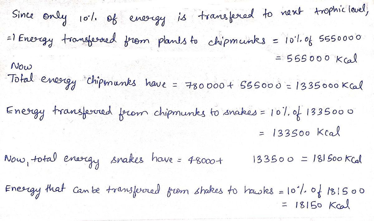 Physics homework question answer, step 1, image 1