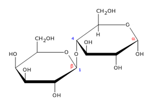 Biochemistry homework question answer, step 1, image 1