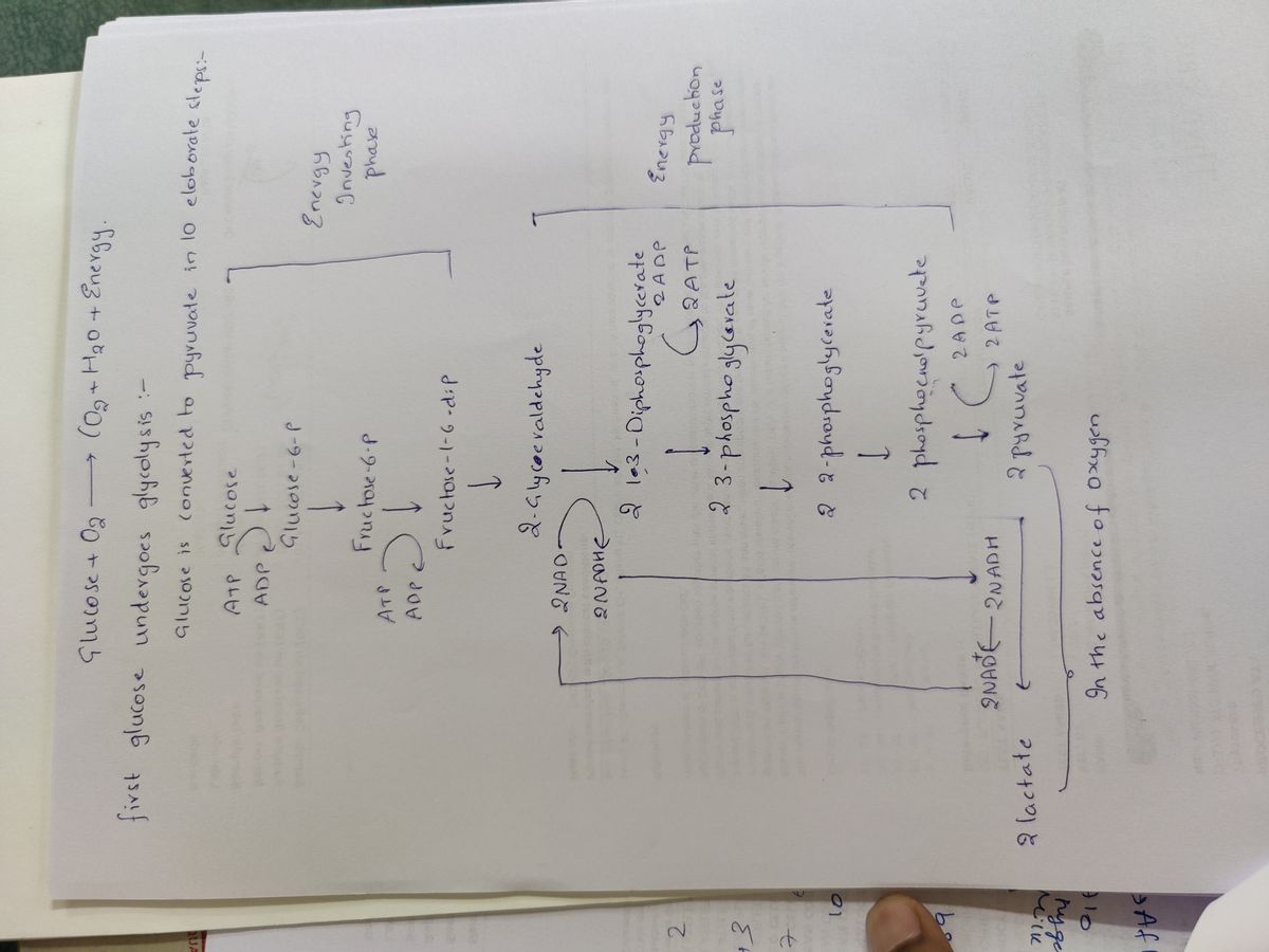 Biology homework question answer, step 1, image 1