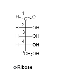 Chemistry homework question answer, step 1, image 1