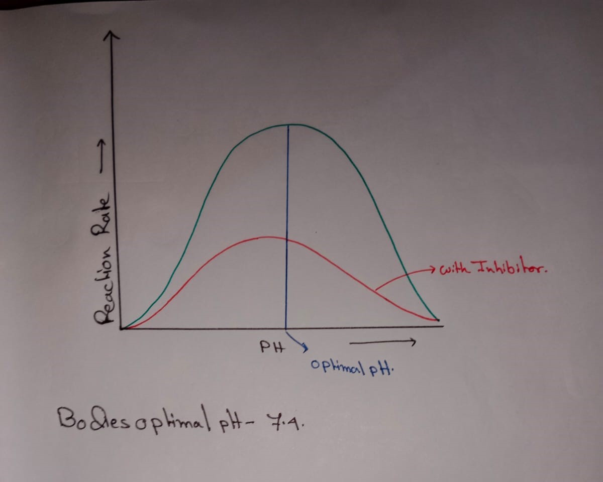 Biology homework question answer, step 1, image 1