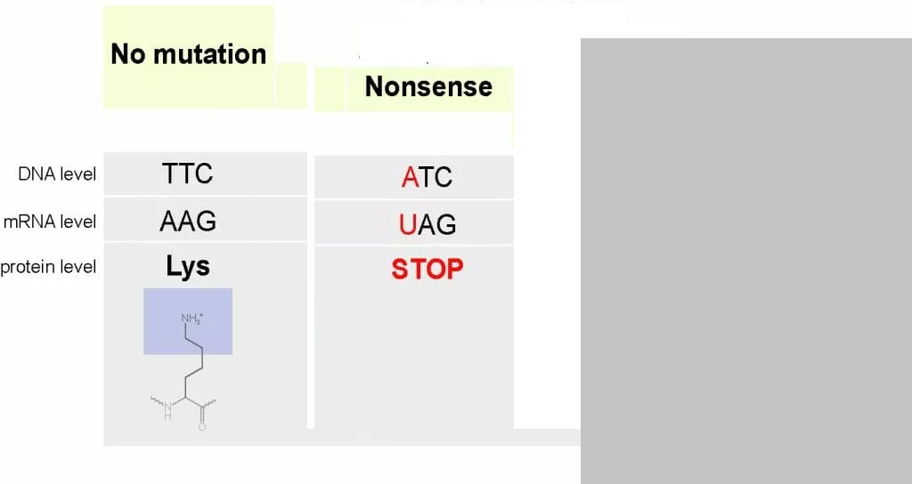 Biology homework question answer, step 1, image 1