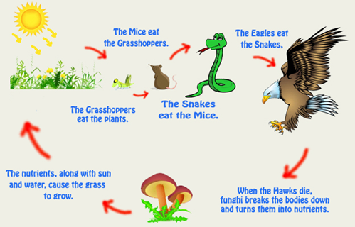 Biology homework question answer, step 2, image 1