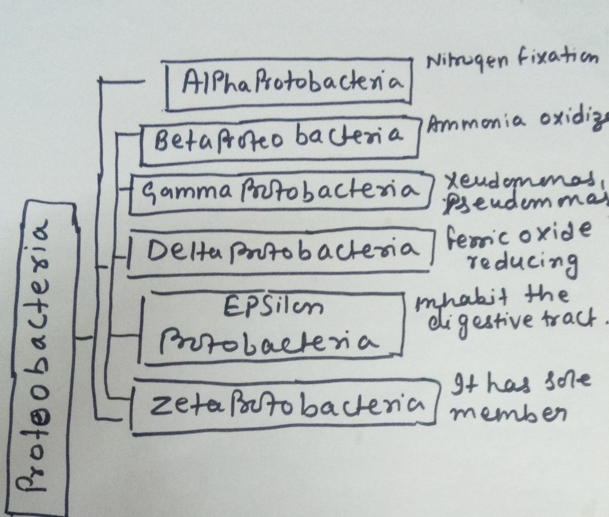 Biology homework question answer, step 1, image 1