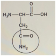 Chemistry homework question answer, step 1, image 1