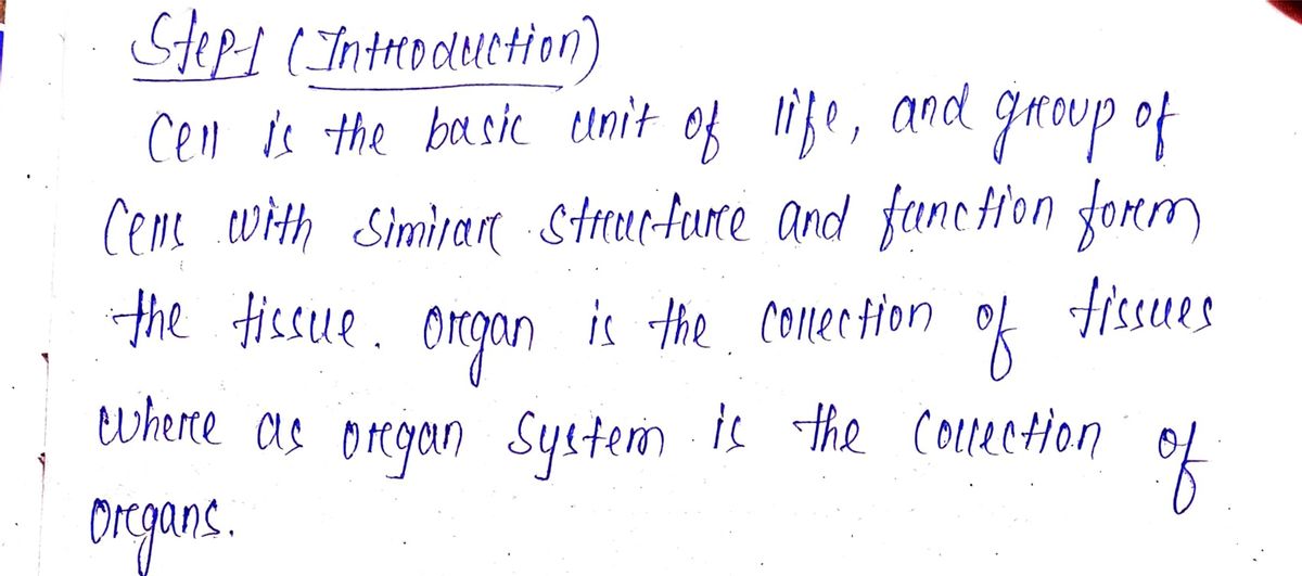 Anatomy and Physiology homework question answer, step 1, image 1