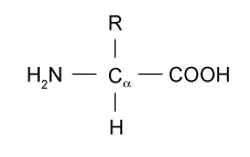 Biochemistry homework question answer, step 1, image 1