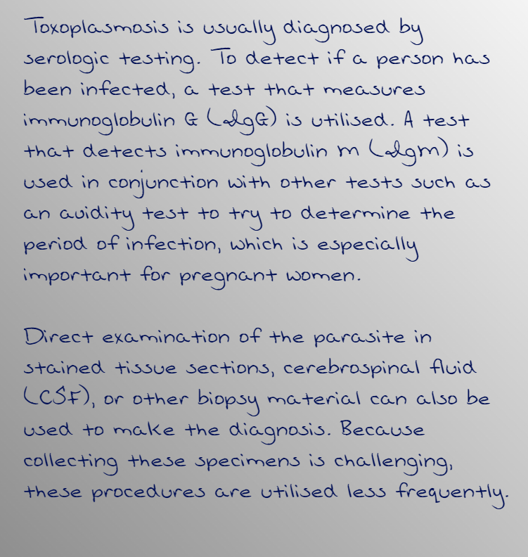 Biology homework question answer, step 1, image 1