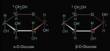 Chemistry homework question answer, step 1, image 1