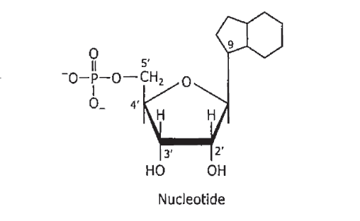 Biochemistry homework question answer, step 1, image 1