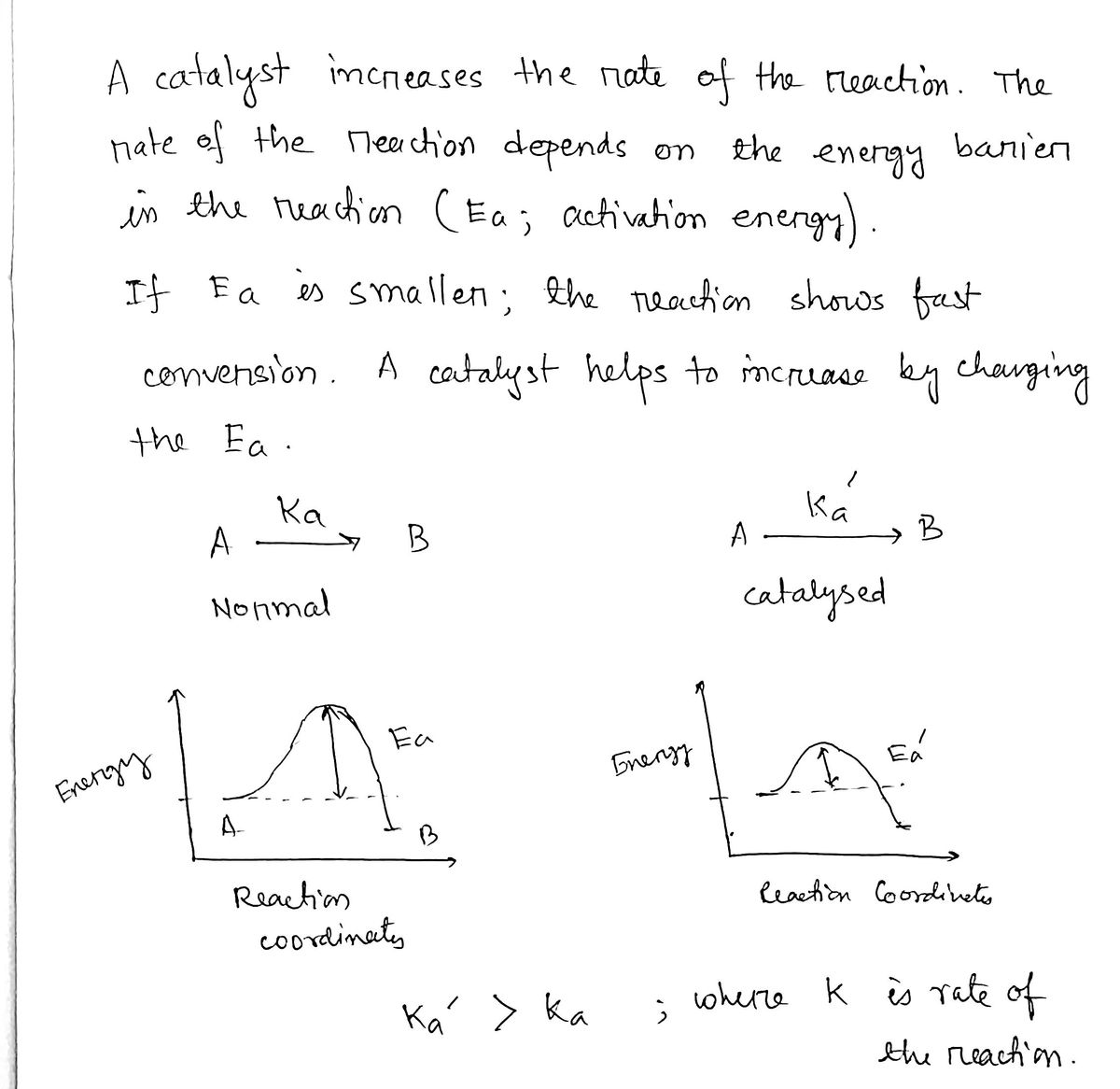 Chemistry homework question answer, step 1, image 1