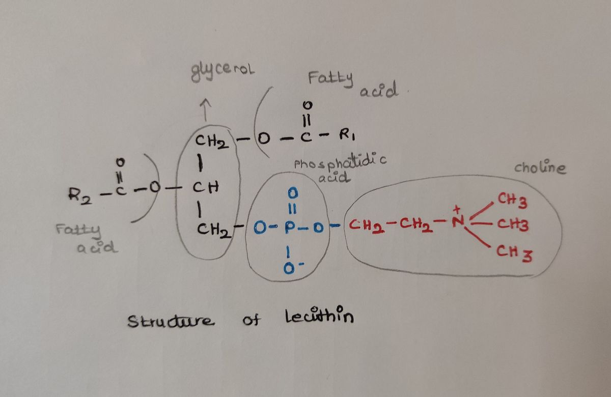 Biochemistry homework question answer, step 2, image 1
