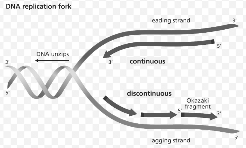 Biochemistry homework question answer, step 1, image 1