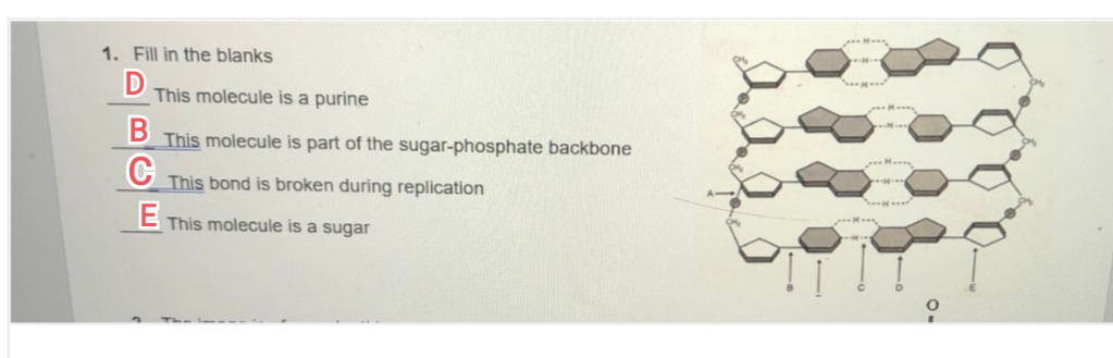 Biochemistry homework question answer, step 1, image 1