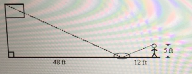 Answered Michele wanted to measure the height of bartleby