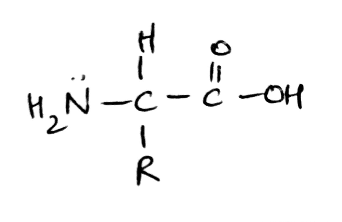 Chemistry homework question answer, step 1, image 1