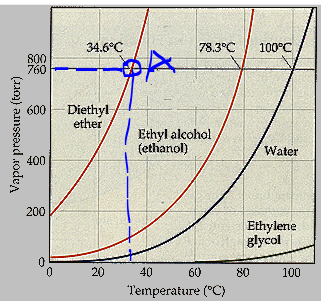 Answered 34.6 C 78.3 C 100 C 800 760 600 bartleby