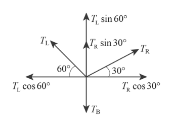 T, sin 60°
TL
TR sin 30°
TR
600
30°
T cos 60°
T cos 30°
(Тв
