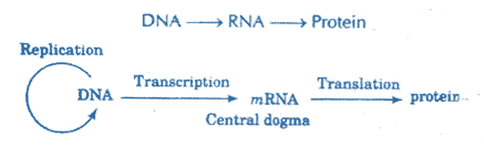 Biology homework question answer, step 1, image 1