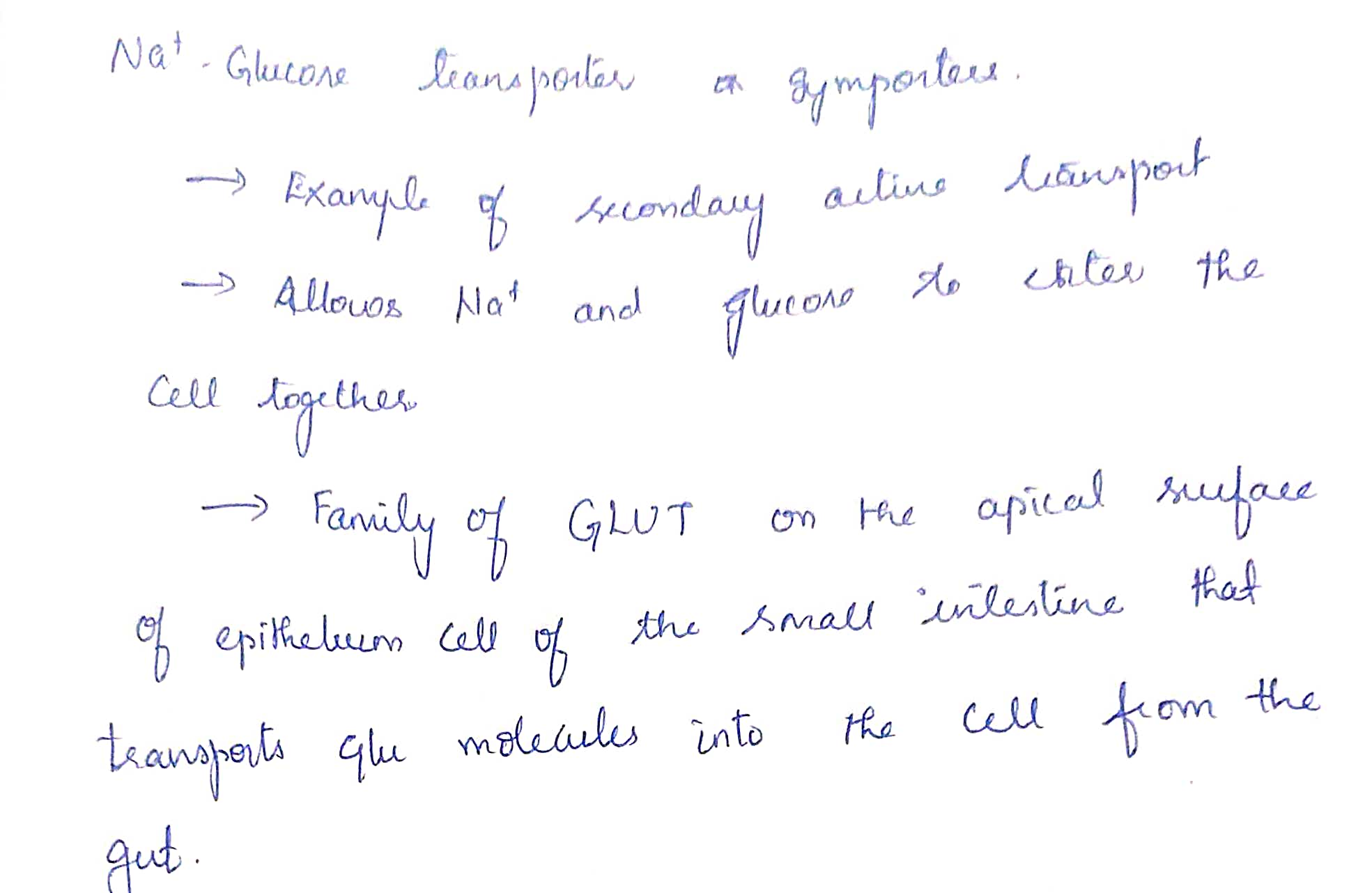 Biochemistry homework question answer, step 1, image 1