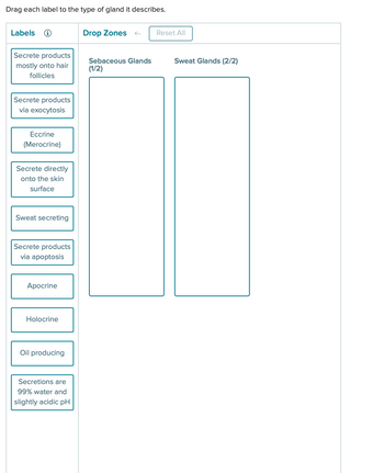 Drag each label to the type of gland it describes.
Labels
Drop Zones
Reset All
Secrete products
Sebaceous Glands
Sweat Glands (2/2)
mostly onto hair
(1/2)
follicles
Secrete products
via exocytosis
Eccrine
(Merocrine)
Secrete directly
onto the skin
surface
Sweat secreting
Secrete products
via apoptosis
Apocrine
Holocrine
Oil producing
Secretions are
99% water and
slightly acidic pH