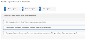 Match the degree of burn with its characteristics.
1
Third degree
2
Second degree
3
First degree
Match each of the options above to the items below.
Only the epidermis is involved. There is redness, edema, and pain.
The epidermis and part of the dermis is involved. There are usually blisters.
The epidermis, entire dermis, and often some deeper tissues are involved. This type of burn often requires a skin graft.