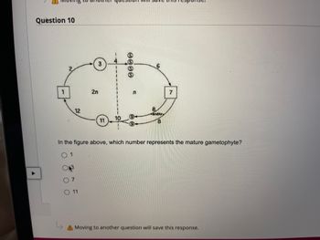 Question 10
*******
1
12
3
O3
07
O 11
2n
11
10
anna
n
CO
8
6
and or
8
7
In the figure above, which number represents the mature gametophyte?
0 1
A Moving to another question will save this response.