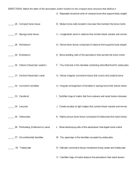 DIRECTIONS: Match the letter of the description and/or function to the compact bone structure that defines it.
