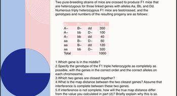 Two pure-breeding strains of mice are crossed to produce F1 mice that
are heterozygous for three linked genes with alleles Aa, Bb, and Dd.
Numerous triply heterozygous F1 mice are testcrossed, and the
genotypes and numbers of the resulting progeny are as follows:
A-
A-
A-
aa
aa
aa
Total
B
B-
bb
bb
B-
B-
bb
dd
dd
dd
10
350
100
40
60
120
320
1000
1.Which gene is in the middle?
2.Specify the genotype of the F1 triple heterozygote as completely as
possible, with the genes in the correct order and the correct alleles on
each chromosome.
3. Which two genes are closest together?
4.What is the map distance between the two closest genes? Assume that
interference is complete between these two genes.
5.If interference is not complete, how will the true map distance differ
from the value you calculated in part (d)? Briefly explain why this is so.