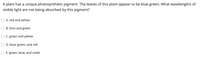 A plant has a unique photosynthetic pigment. The leaves of this plant appear to be blue-green. What wavelengths of
visible light are not being absorbed by this pigment?
A. red and yellow
B. blue and green
C. green and yellow
D. blue, green, and red
E. green, blue, and violet
