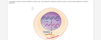 A simplified model of protein synthesis is shown here. How might this model be revised to show a more accurate depiction of protein
synthesis?
DNA
Process 1
m
MRNA
Process 2
