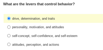 What are the levers that control behavior?
drive, determination, and traits
O personality, motivation, and attitudes
self-concept, self-confidence, and self-esteem
O attitudes, perception, and actions