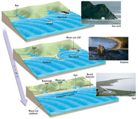 Answered: Bay Sea arch Island Sea arch Wave-cut… | bartleby