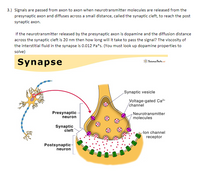 3.) Signals are passed from axon to axon when neurotransmitter molecules are released from the
presynaptic axon and diffuses across a small distance, called the synaptic cleft, to reach the post
synaptic axon.
If the neurotransmitter released by the presynaptic axon is dopamine and the diffusion distance
across the synaptic cleft is 20 nm then how long will it take to pass the signal? The viscosity of
the interstitial fluid in the synapse is 0.012 Pa*s. (You must look up dopamine properties to
solve)
Synapse
Suiknce Facts aut
Synaptic vesicle
Voltage-gated Ca?
/channel
Presynaptic
neuron
Neurotransmitter
molecules
Synaptic
cleft
lon channel
receptor
Postsynaptic-
neuron
