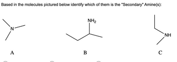 Based in the molecules pictured below identify which of them is the "Secondary" Amine(s):
A
B
NH₂
C
ΝΗ