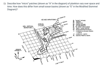 1) Describe how "micro" patches (shown as "A" in the diagram) of plankton vary over space and
time. How does this differ from small ocean basins (shown as "G" in the Modified Stommel
Diagram)?
BIOMASS
VARIABILITY
SPACE
Log L (cm)
DIEL VERTICAL
MIGRATION-
TIME
ICE AGE VARIATIONS-
ANNUAL
CYCLES
MINUTE
HOUR
4464
DAY
+ WEEK
MONTH
10000 Km
48
YEAR
1000 Km
-100 Km
-10km
Log P (sec)
CENTURY
-100m
O
<-1000 Y
A. "MICRO" PATCHES
B. SWARMS
C. UPWELLING
10000 Y
D. EDDIES & RINGS
E. ISLAND EFFECTS
E."EL NINO TYPE EVENTS
G. SMALL OCEAN BASINS
H. BIOGEOGRAPHIC PROVINCES
1. CURRENTS & OCEANIC FRONTS
-LENGTH
J. CURRENTS-WIDTH
K. OCEANIC FRONTS-WIDTH
S
fem