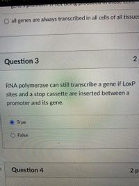 ot beng proddt
O all genes are always transcribed in all cells of all tissues
2
Question 3
RNA polymerase can still transcribe a gene if LoxP
sites and a stop cassette are inserted between a
promoter and its gene.
O True
O False
Question 4
2 p
