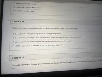 O temporal lobe-visual processing
O occipital lobe-control of skeletal muscles
O frontal lobe-decision making
Question 36
Which of the following must happen for long-term potentiation to occur in the hippocampus?
O the postsynaptic cell responds to glutamate by opening AMPA receptors
O the presynaptic cell must grow more axon terminals to synapse with the dendrites of the postsynaptic cell
a presynaptic neuron must release more acetylcholine neurotransmitter into the synapse
NMDA receptors must be unblocked so that they can respond to glutamate
Question 37
The doctor informs you that your grandmother's stroke has caused damage to Wernicke's area. Which activity is likely to become
her?