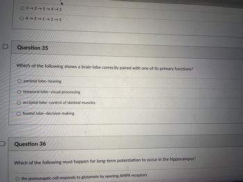 03-2-5-4-1
A
04-3-1-2-5
Question 35
Which of the following shows a brain lobe correctly paired with one of its primary functions?
O parietal lobe-hearing
O temporal lobe-visual processing
occipital lobe-control of skeletal muscles
O frontal lobe-decision making
Question 36
Which of the following must happen for long-term potentiation to occur in the hippocampus?
the postsynaptic cell responds to glutamate by opening AMPA receptors