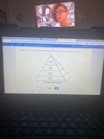 ## The Interdependence of Ecosystems

### Pretest: The Interdependence of Ecosystems

#### An ecological pyramid shows the transfer of energy. Which level will contain only 0.1% of the total energy obtained from the Sun?

The image depicts a biomass (energy) pyramid that represents the distribution of energy across different trophic levels within an ecosystem. The pyramid has the following energy levels:

- **Top Level:** 5 kcal (Hawk)
- **Second Level from Top:** 50 kcal (Snakes)
- **Third Level from Top:** 500 kcal (Mice/Rats)
- **Base Level:** 5000 kcal (Plants)

The pyramid illustrates that as energy is transferred from one trophic level to the next, a significant amount of energy is lost, primarily through metabolic processes and as heat. Each level receives only about 10% of the energy from the level directly below it. Thus, the hawk at the top represents the apex predator, containing only 0.1% of the energy initially captured by the producers (plants) at the base level. 

Biomass (energy) pyramids are fundamental in understanding the efficiency of energy transfer within an ecosystem and highlight the importance of primary producers in supporting the entire food web.