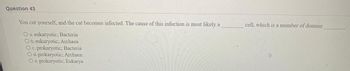 **Question 43**

You cut yourself, and the cut becomes infected. The cause of this infection is most likely a ________ cell, which is a member of domain ________.

- a. eukaryotic; Bacteria
- b. eukaryotic; Archaea
- c. prokaryotic; Bacteria
- d. prokaryotic; Archaea
- e. prokaryotic; Eukarya