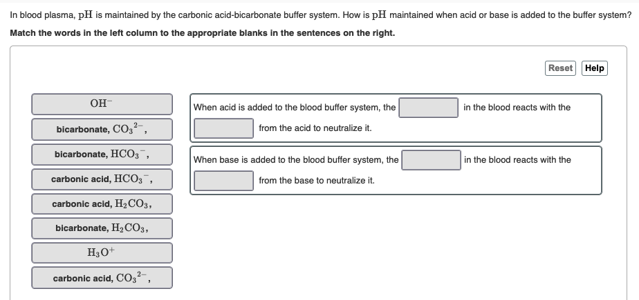 In blood plasma, pH is maintained by the carbonic acid-bicarbonate buffer system. How is pH maintained when acid or base is added to the buffer system?
Match the words in the left column to the appropriate blanks in the sentences on the right.
Reset Help
Он
When acid is added to the blood buffer system, the
in the blood reacts with the
bicarbonate, C03²-,
from the acid to neutralize it.
bicarbonate, HCO3,
When base is added to the blood buffer system, the
in the blood reacts
carbonic acid, HCO3¯,
from the base to neutralize it.
carbonic acid, H2CO3,
bicarbonate, H2CO3,
Нзо+
carbonic acid, CO3²-,
