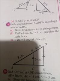 21 m
379
28 m
in
12 m
P.
37
16 m
(b) If AB is 24 m, find QP.
In the diagram below, A ADE is an enlarge-
ment of A ABC.
(a) Write down the centre of enlargement.
(b) If AB = 8 cm, BD = 4 cm, calculate the
scale factor.
(c) If BC = 6 cm, calculate DE.
D
4 cm
8 cm
16 cm
10 In A ABC and A ADE shown below,
AB = 30 cm, AE = 18 cm, EC = 3 cm.
(a) Show that triangles 4RC
E
%3D
%3D
