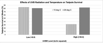 90
€80
Tadpole Survival at 4 Weeks (%)
70
60
50
40
30
20
10
0
Effects of UVB Radiation and Temperature on Tadpole Survival
Low (<6.0)
15 deg C = 26 deg C
UVBR Level (kJ/m squared)
High (>50.0)