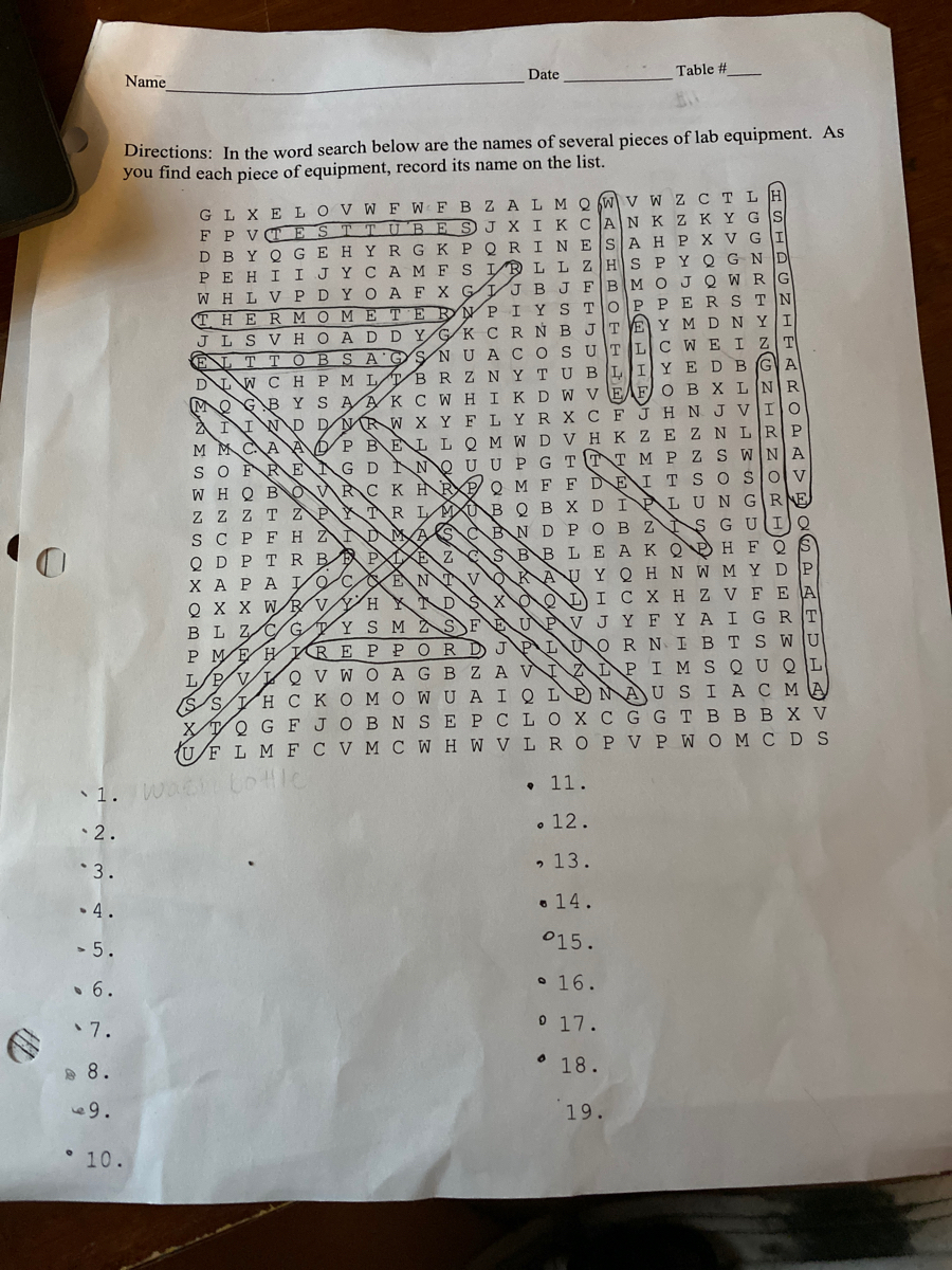 Biology Lab Equipment Worksheet