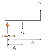 FE
FL
Fulcrum
de
dz
