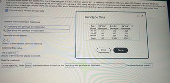 particular strand of DNA was classified into one of three genotypes: E4/E4, E4/E4, and E4/E4. In addition to a sample of 2,098 young adults (20-24 years), two other age groups
were studied: a sample of 2,182 middle-aged adults (40-44 years) and a sample of 2,282 elderly adults (60-64 years). The accompanying table gives a breakdown of the number of adults with the
three genotypes in each age category for the total sample of 6,562 adults. Researchers concluded that "there were no significant genotype differences across the three age groups" using
a = 0.05. Are they correct?
Click the icon to view the genotype data.
State the null and alternative hypotheses.
Ho: Age group and genotype are independent.
Ha: Age group and genotype are dependent.
Determine the test statistic.
x2=0
(Round to three decimal places as needed.)
Determine the p-value.
Genotype Data
Age E4* /E4*
Group Genotype
57
20-24
40-44
44
60-64
48
Totals
149
The p-value is.
(Round to three decimal places as needed.)
State the conclusion.
Do not reject Ho. There is not sufficient evidence to conclude that age group and genotype are dependent.
Print
E4*/E4
Genotype
518
566
564
1,648
D
E4/E4
Genotype
1,523
1,572
1,670
4,765
Done
- X
The researchers are correct.