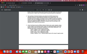 Chrome File Edit View History Bookmarks Profiles Tab Window Help
Gmail
Columbus Letter.pdf
YouTube
moodle.millikin.edu/pluginfile.php/232272/mod_resource/content/0/4%20genetic%20crosses.pdf
4 genetic crosses
Translate
O
X in FA23-B1300 01 - CRN:10060: A X
New Tab
9,306
4 genetic crosses
1 / 2
100% + |
females. What chromosome likely carries the gene for this trait? Explain why this trait is
more common in males. Use a Punnett square to help demonstrate your explanation.
4. The hypothesis of blended inheritance (see slides from 8/24/22) states that an
offspring's traits are an intermediate form between the two parents' traits. The
incomplete dominance pattern of inheritance seems to support this idea at first glance.
However, when you investigate this further you can see that it actually does support the
discrete trait hypothesis. Explain why this is. Hint: set up several crosses of a trait
showing incomplete dominance, and look for examples where the phenotype of the
offspring is NOT a blend of the two parents.
SEP
29
5. Unicorn lily flowers have four different alleles for flower color: purple, magenta, orange,
or silver. Based on the following crosses, explain the relationship between these three
alleles in terms of which are dominant, recessive, or have another relationship. In the
examples listed below, all parents are true-breeding.
Purple x magenta → All F1 offspring are purple
Silver x magenta → All F1 offspring are magenta
Orange x silver →All F1 offspring are orange
Purple x orange → All F1 offspring are purple
Orange x magenta → All F1 offspring display flowers with orange & magenta petals
tv
▬
2
A
W
44
P
80
Thu Sep 29 1:08 PM
☐M :